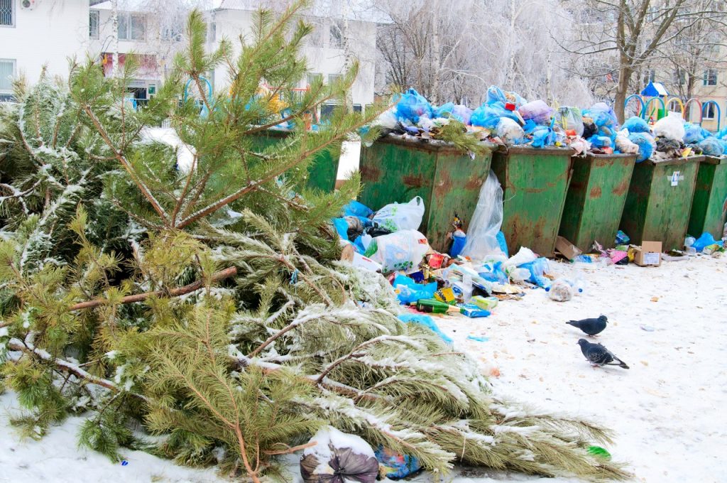 ёлка, новогоднее дерево, утиль, мусор, помойка, ТБО (фото theconversation.com)