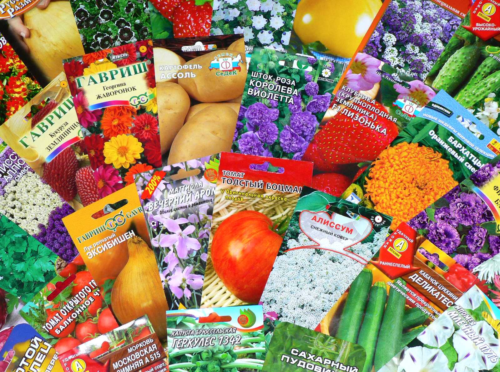 Купить Семена Овощей В Розницу