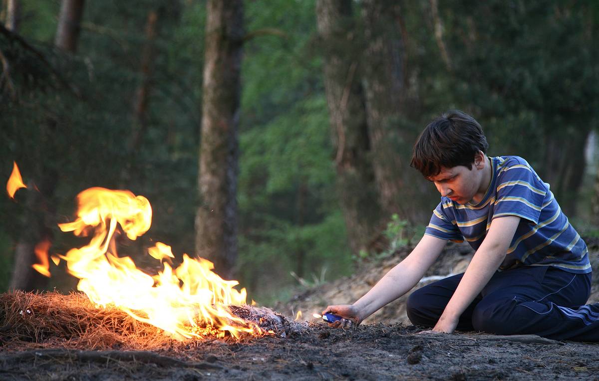 мальчик, поджог, лес, дерево (фото tass.ru)