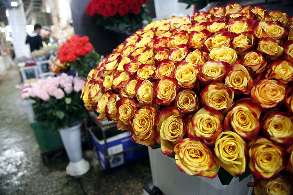 Купить розы в смоленске. Цветы из Эквадора. Цветы Эквадор Голландия.