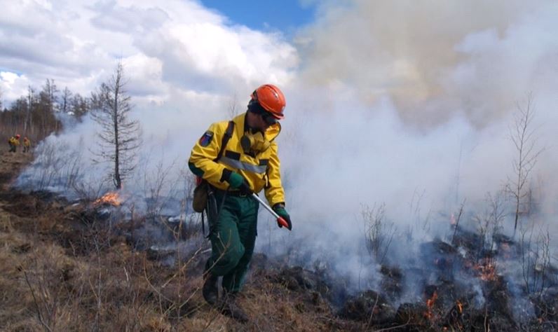 тушение лесного пожара (фото пресс-служба ФБУ «Авиалесоохрана»)
