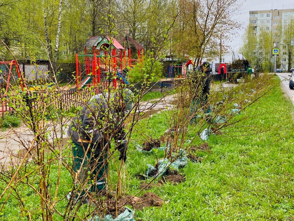 Городнянские сады