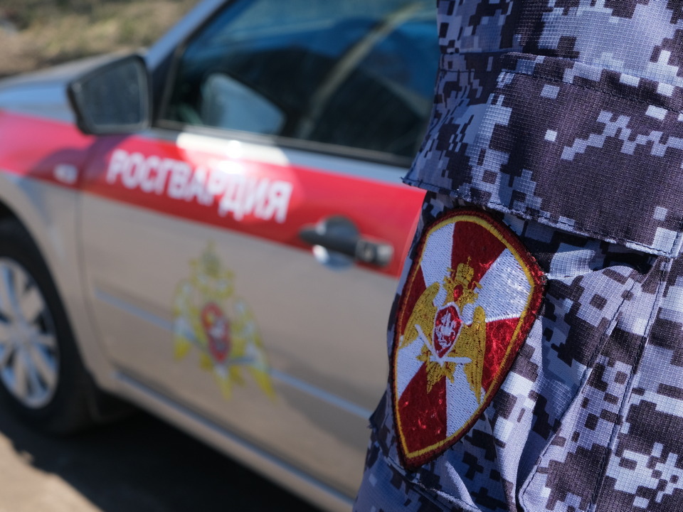 rosgvardiya-patrul-foto-press-sluzhby-upravleniya-rosgvardii-po-smolenskoj-oblasti