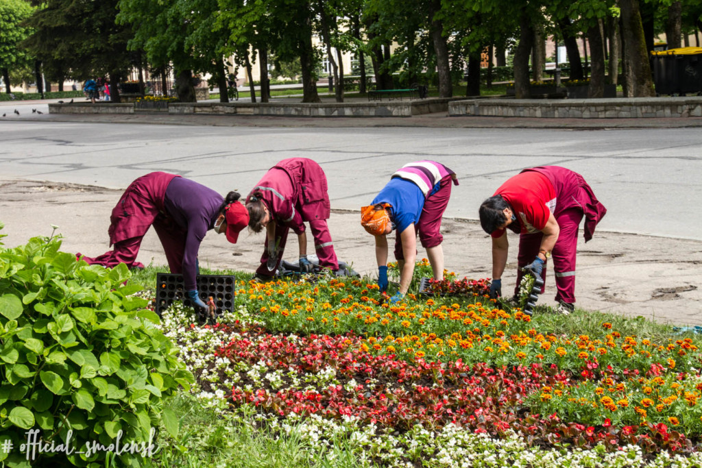 Кинотеатр клумба. Цветника в центре города Смоленска. Зеленстрой Пятигорск официальный сайт. Кинотеатр октябрь клумбы Смоленск. Высадка цветов пациентами розовый октябрь.