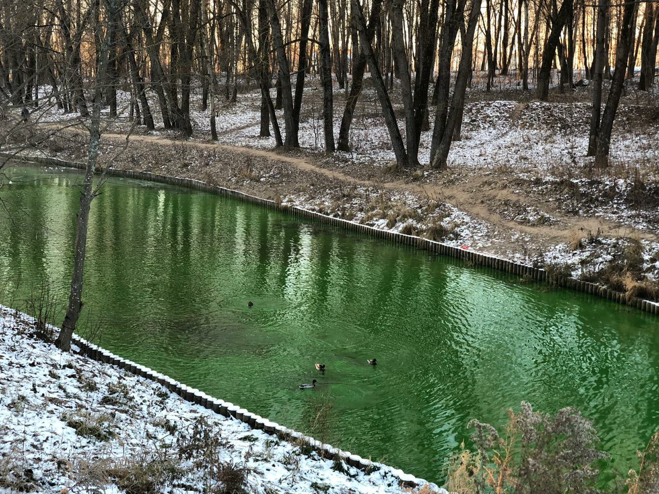 Озеро в Соловьиной роще Смоленск