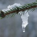 Что сегодня с водой в смоленске. Смотреть фото Что сегодня с водой в смоленске. Смотреть картинку Что сегодня с водой в смоленске. Картинка про Что сегодня с водой в смоленске. Фото Что сегодня с водой в смоленске
