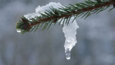 Что сейчас в смоленске. Смотреть фото Что сейчас в смоленске. Смотреть картинку Что сейчас в смоленске. Картинка про Что сейчас в смоленске. Фото Что сейчас в смоленске
