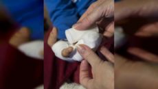 О чем говорит дорогобуж. Смотреть фото О чем говорит дорогобуж. Смотреть картинку О чем говорит дорогобуж. Картинка про О чем говорит дорогобуж. Фото О чем говорит дорогобуж