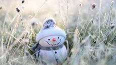 какие мероприятия сегодня в смоленске. Смотреть фото какие мероприятия сегодня в смоленске. Смотреть картинку какие мероприятия сегодня в смоленске. Картинка про какие мероприятия сегодня в смоленске. Фото какие мероприятия сегодня в смоленске