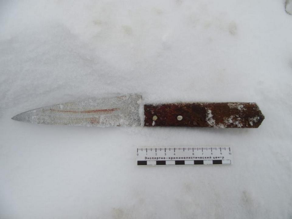 нож, орудие убийства женщины 30.1.2022 в Вышегоре (фото smolensk.sledcom.ru)