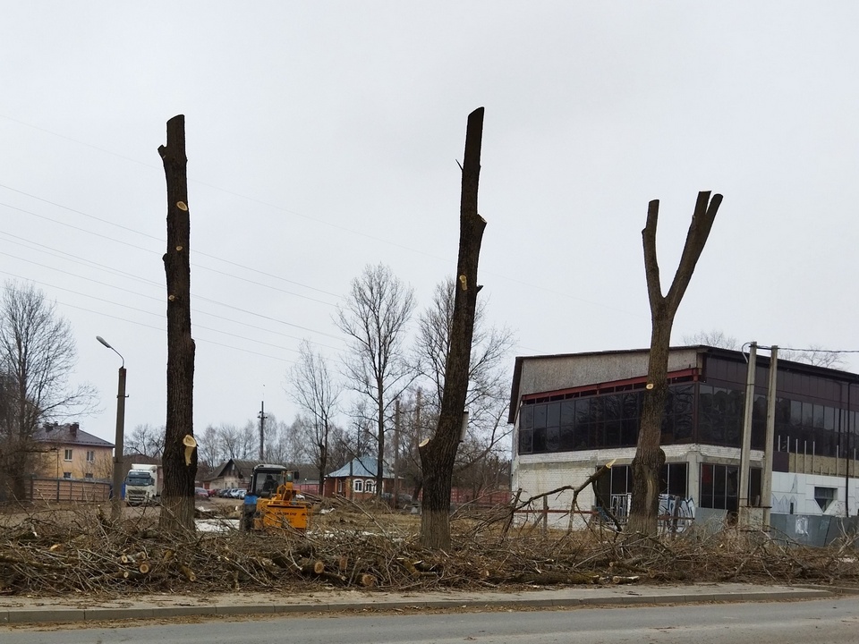 вырубка деревьев, Ерёменко, 2, весна 2022 (фото vk.com deyachara)