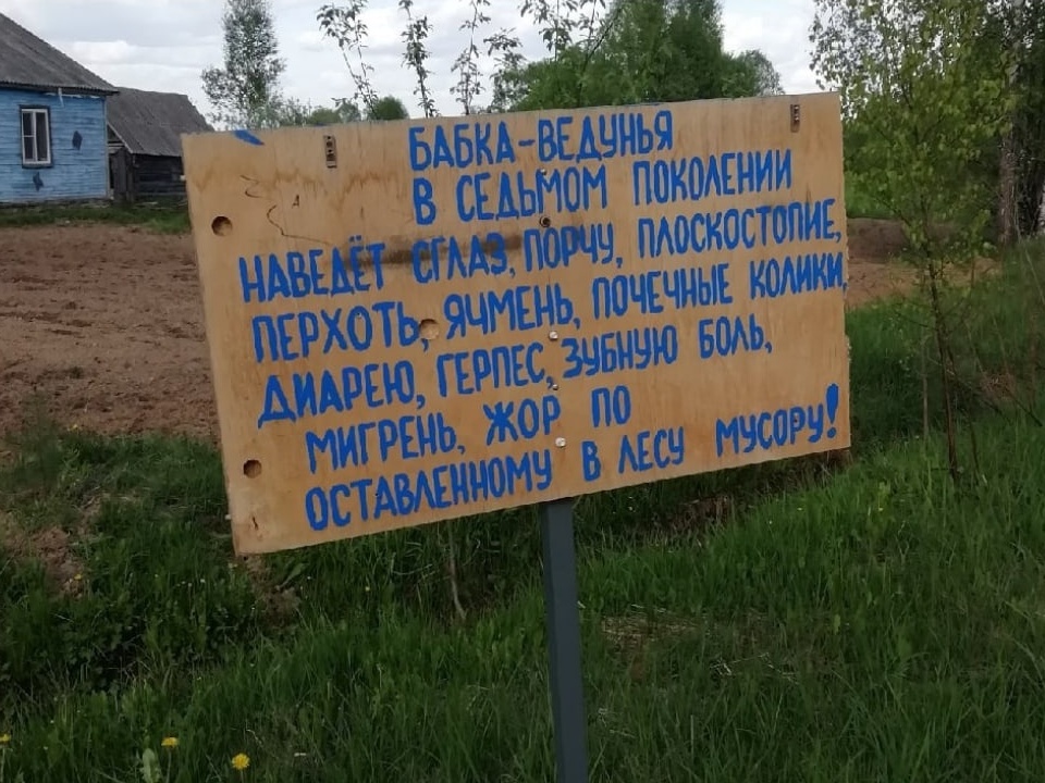 проклятие мусорящих в лесу деревни Тетери (фото vk.com rudnya.smolenskaya)