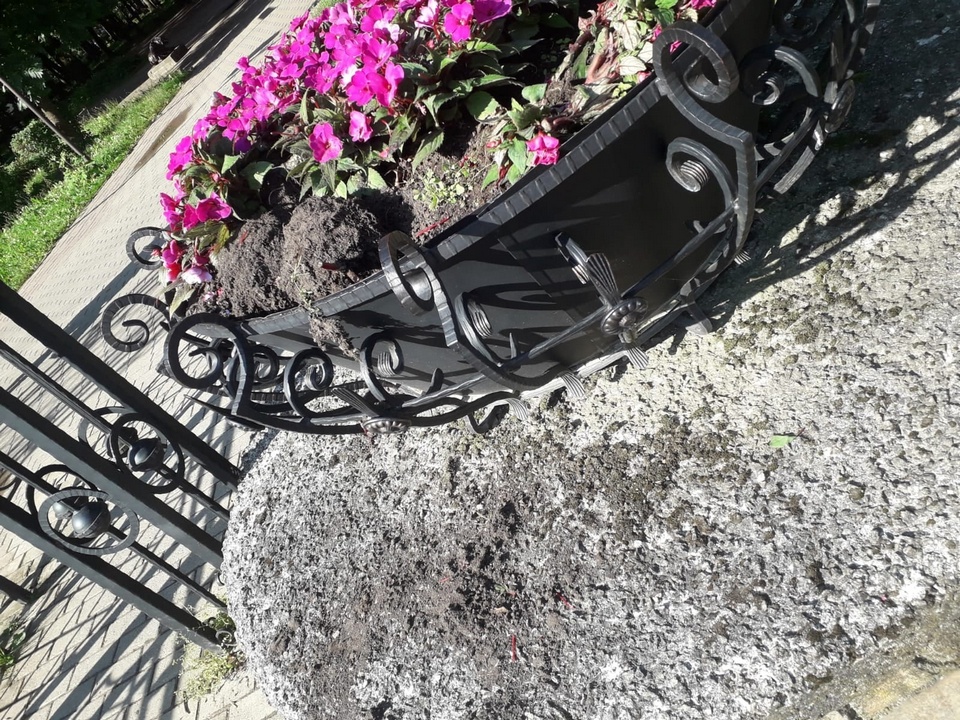 разорённая клумба с цветами в парке Блонье, фото smoladmin.ru