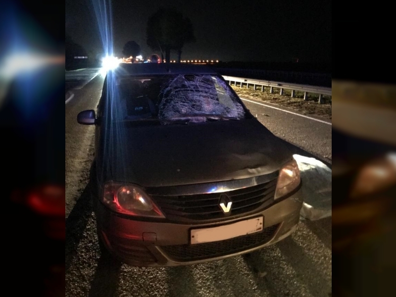 смертельный наезд Renault Logan на пешехода 27.9.2022, Смоленск, Витебское шоссе, Р-120