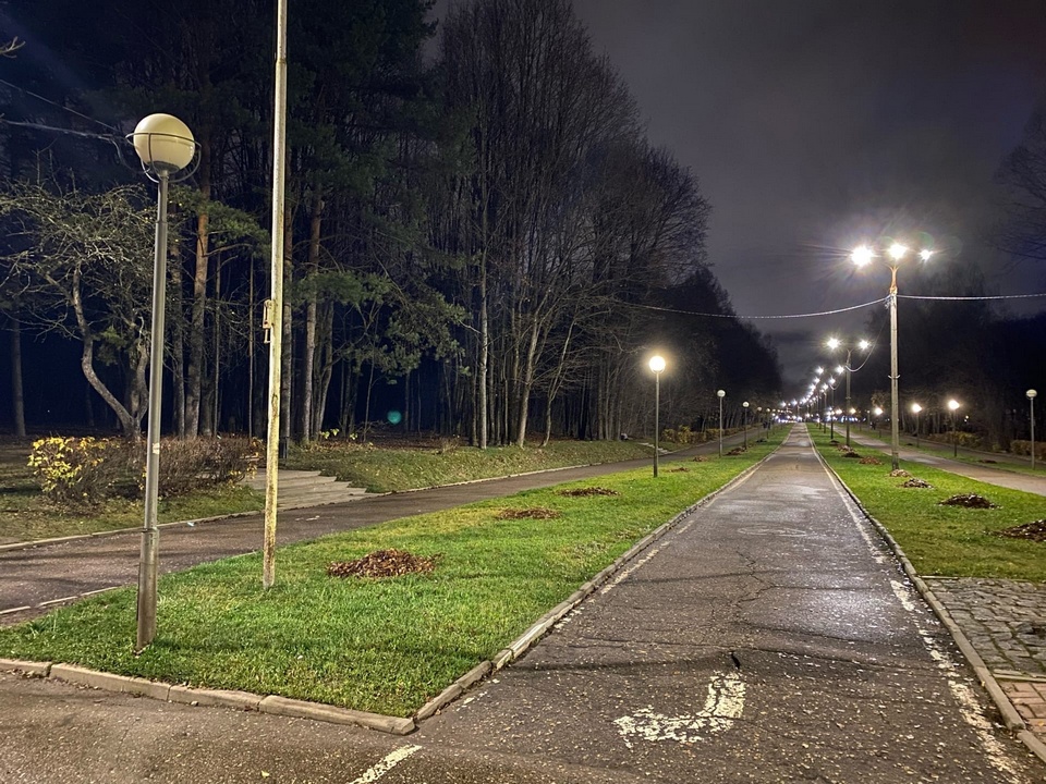 погасшие фонари в Реадовском парке, осень 2022, фото vk.com black.smolensk