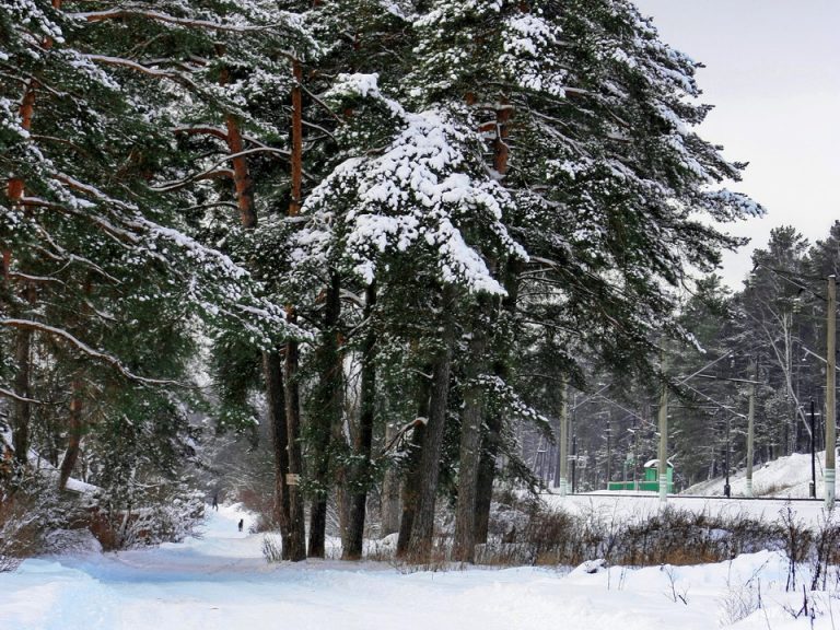 погода рп5 подольск московская область