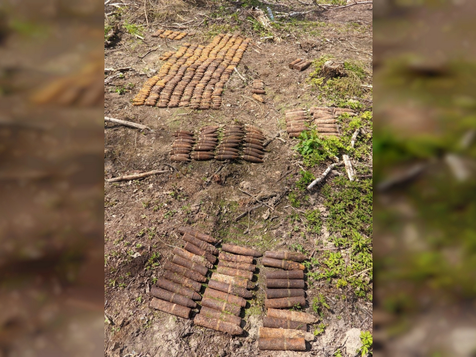 боеприпасы 25.5.2023 в лесу у смоленской деревни Шиловичи, фото пожарно-спасательного центра