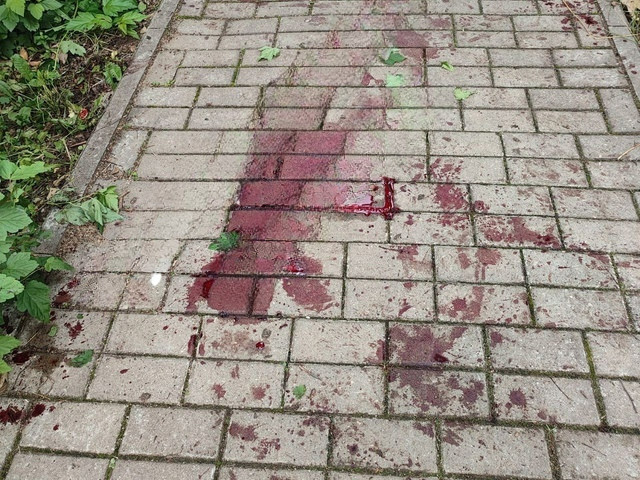 место смертельной поножовщины, убийства молодого вязьмича Артёма