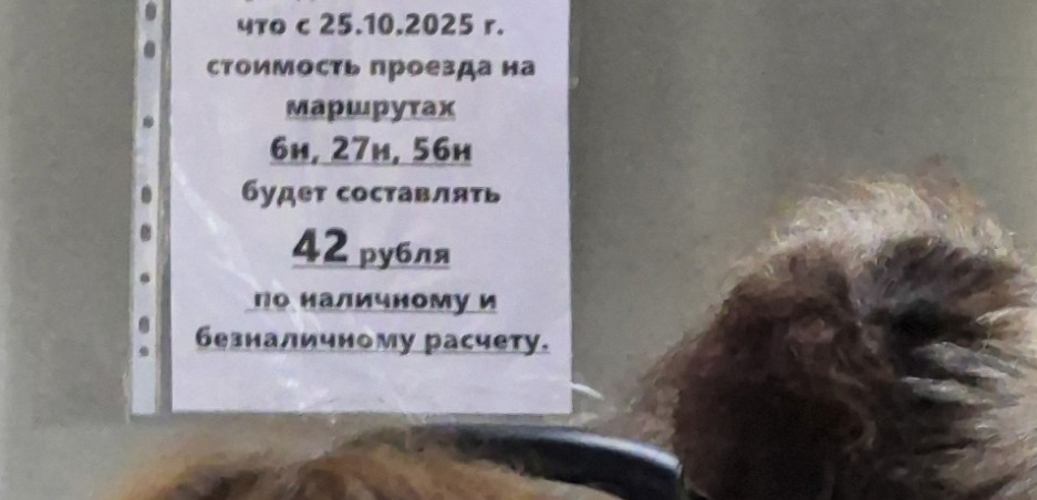 маршрутка цена