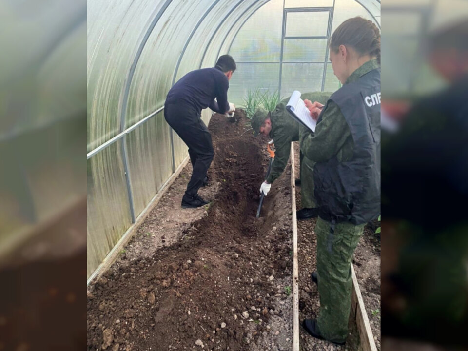 место сокрытия тела Анатолия Меркушева под теплицей на огороде в Вязьме, фото СК