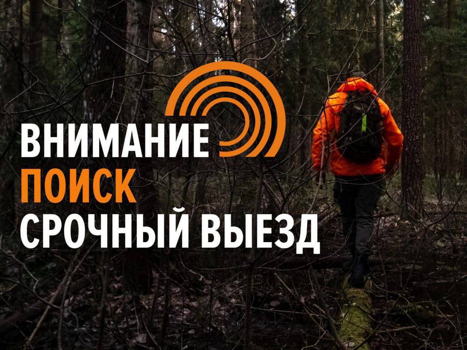 Сальвар, срочный выезд, поиск пропавшего, лес