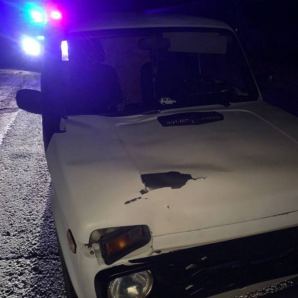 смертельный наезд Нивы на пешехода 30.10.2025, Кирпичный завод, 10, Шумячи, фото ГАИ