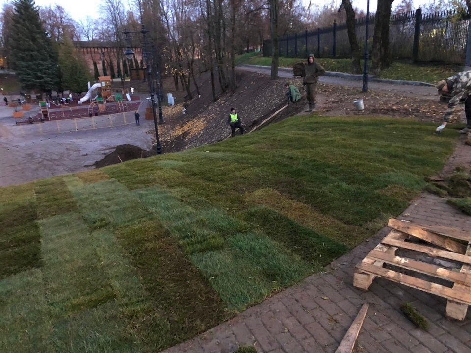 укладка газонов на Массовом поле Лопатинского сада, фото мэрии