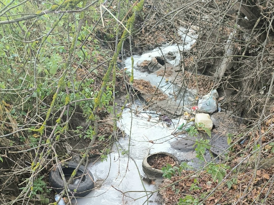 загрязнённая река Шкляная, ГСК Ветеран, Заднепровье, фото vk.com smolensk67