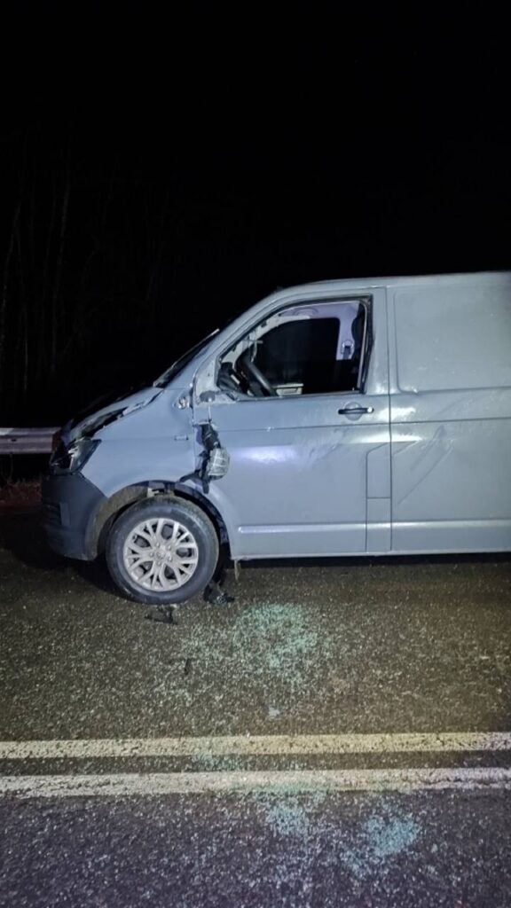 дтп авария лось