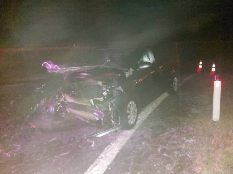 Киа Рио после столкновения с осевым ограждением 23.11.2025, 344 км Р120, Смоленский округ, фото ГАИ