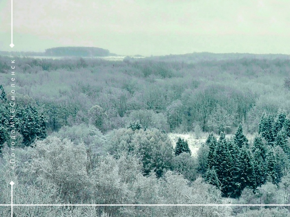 лес зимой, фото МЧС