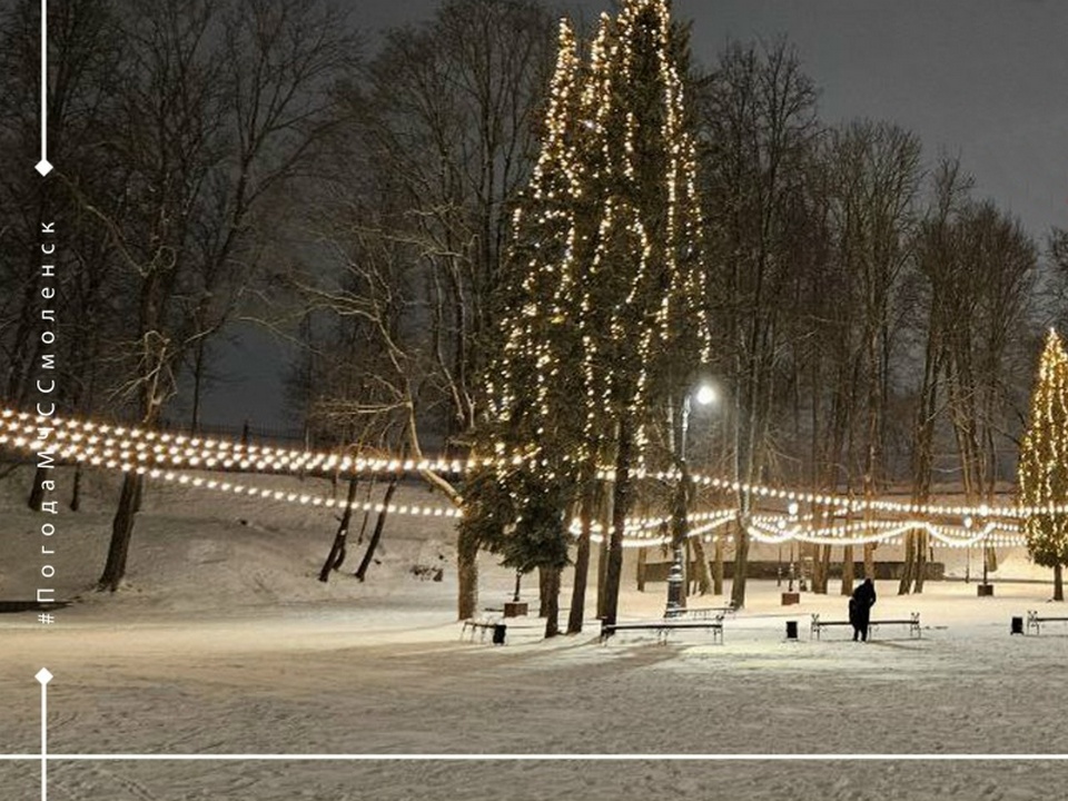 Массовое поле Лопатинского сада зимой