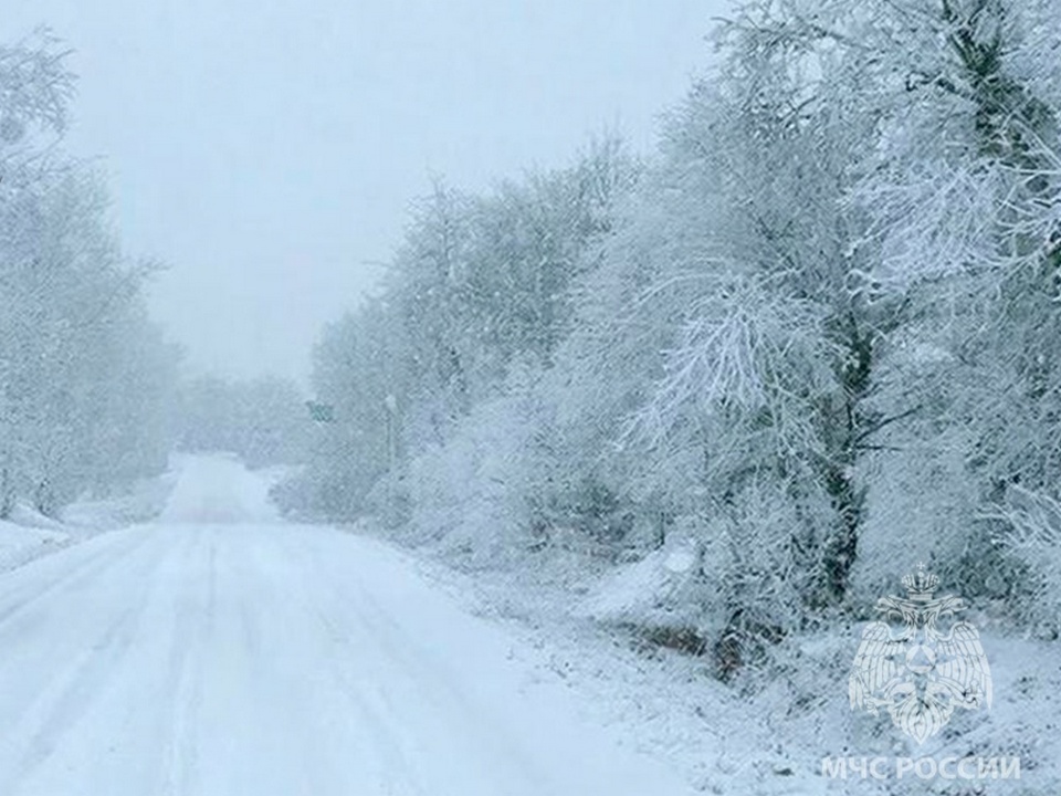 снежная дорога, зима