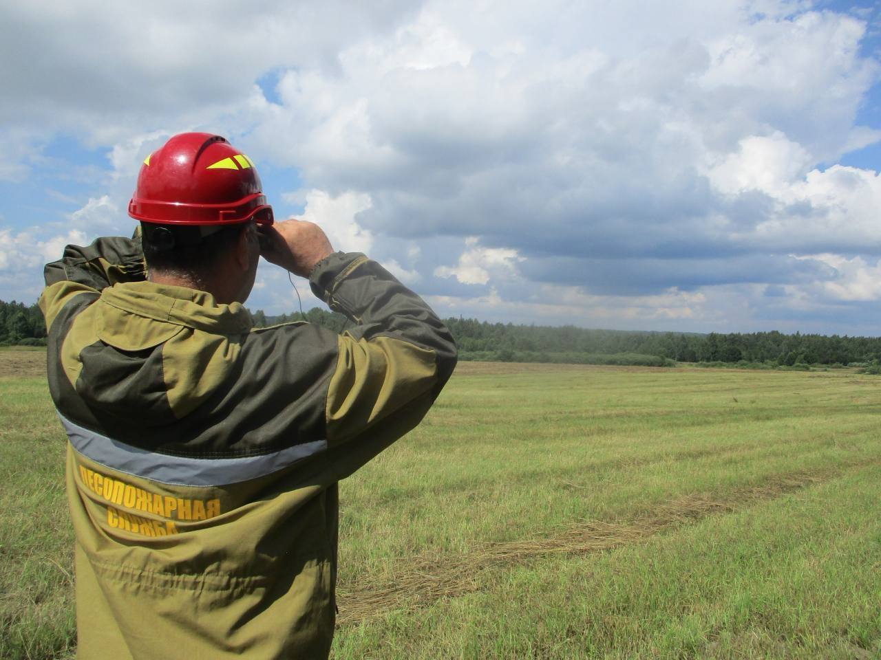 В Смоленской области выросла площадь общедоступных охотничьих угодий