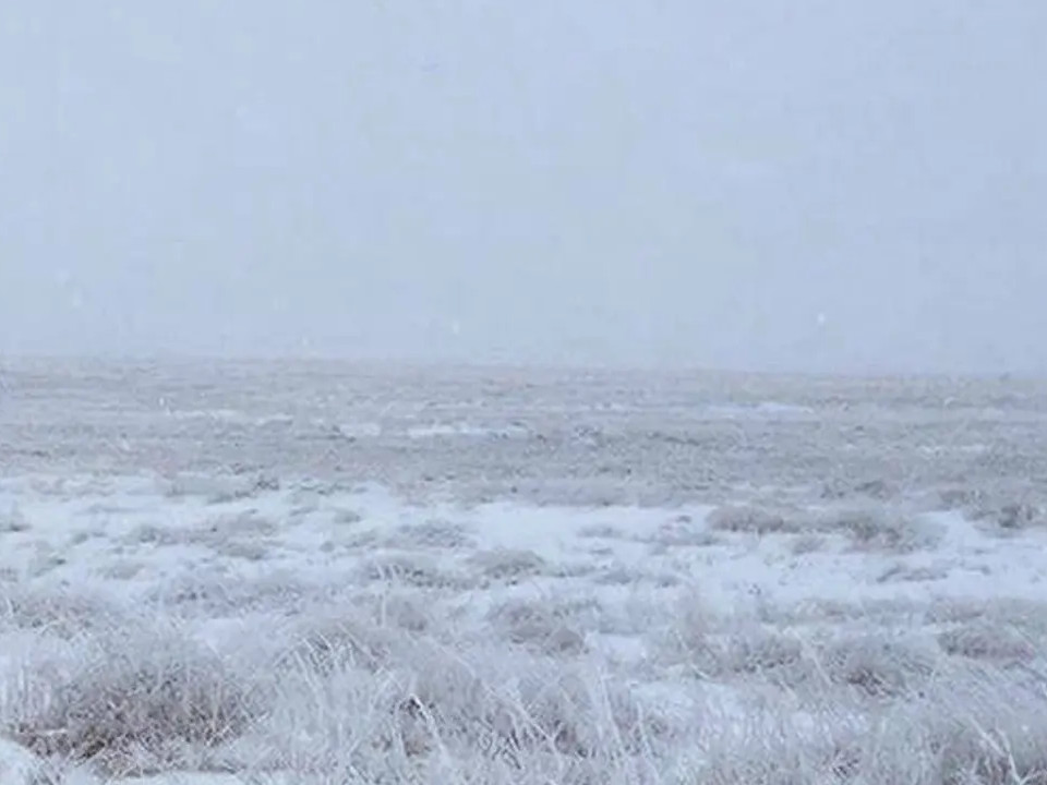 зима, поле, туман, снег, фото МЧС