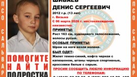 Денис Шибаев