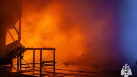 Пожар на деревообрабатывающем производстве