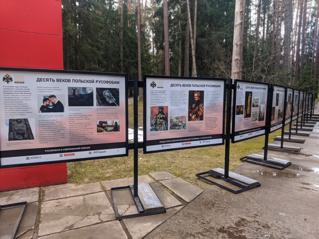 польские мероприятия в Смоленске и Катыни_20