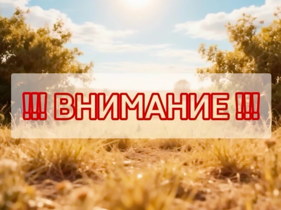 предупреждение об аномальной жаре