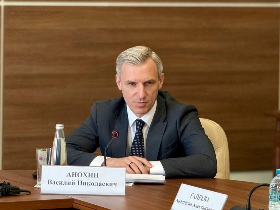 совещание комитета Госдумы по молодёжной политике, Анохин