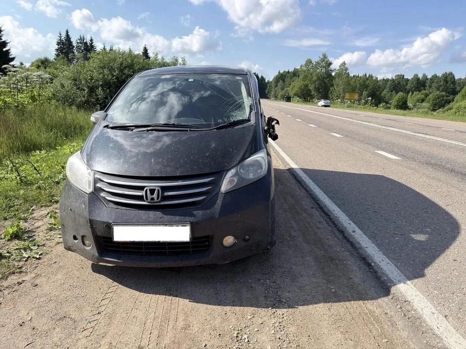 наезд Хонды на пешехода 30.6.2026, 983 км Золотого кольца, Вяземский округ, фото ГАИ