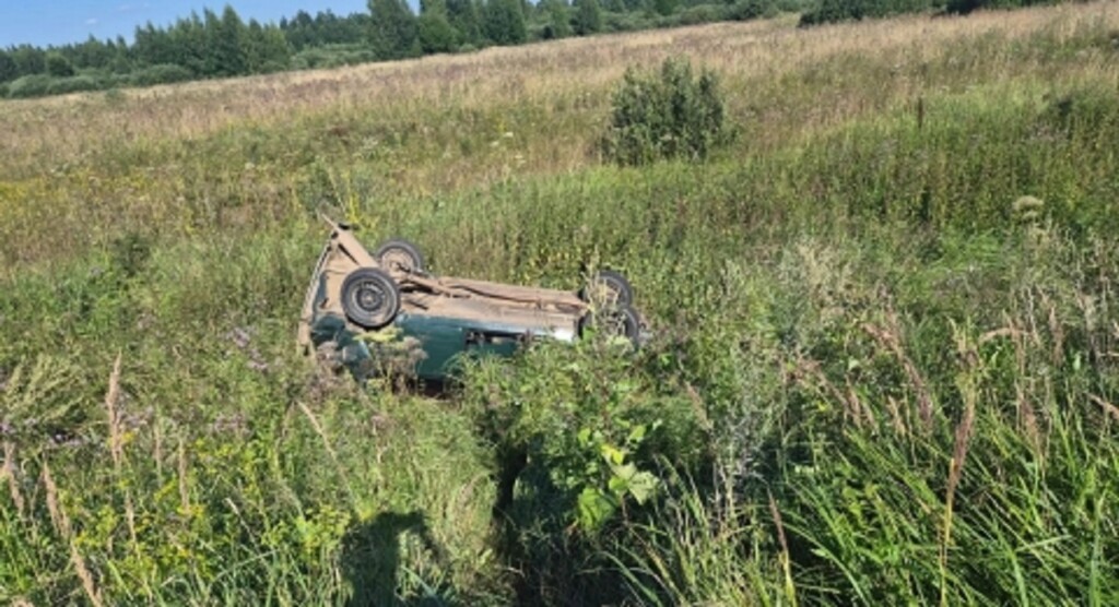 перевертыш