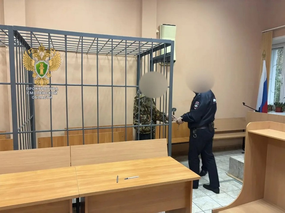 суд, мера пресечения, заключение под стражу, убийца 19-20.9.2026 в дер. Чёрное